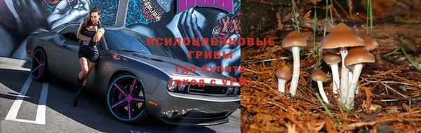 гидропоника Кукмор