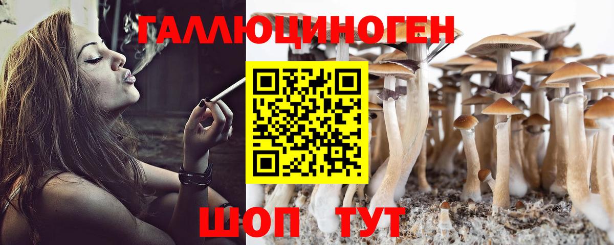 Галлюциногенные грибы прущие грибы  Долгопрудный 